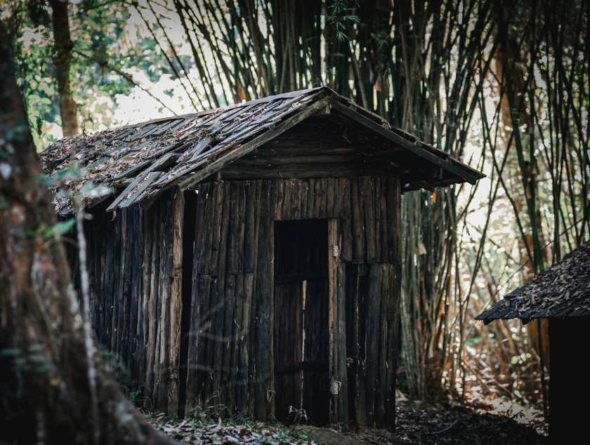 Test1 Image Gallery Image