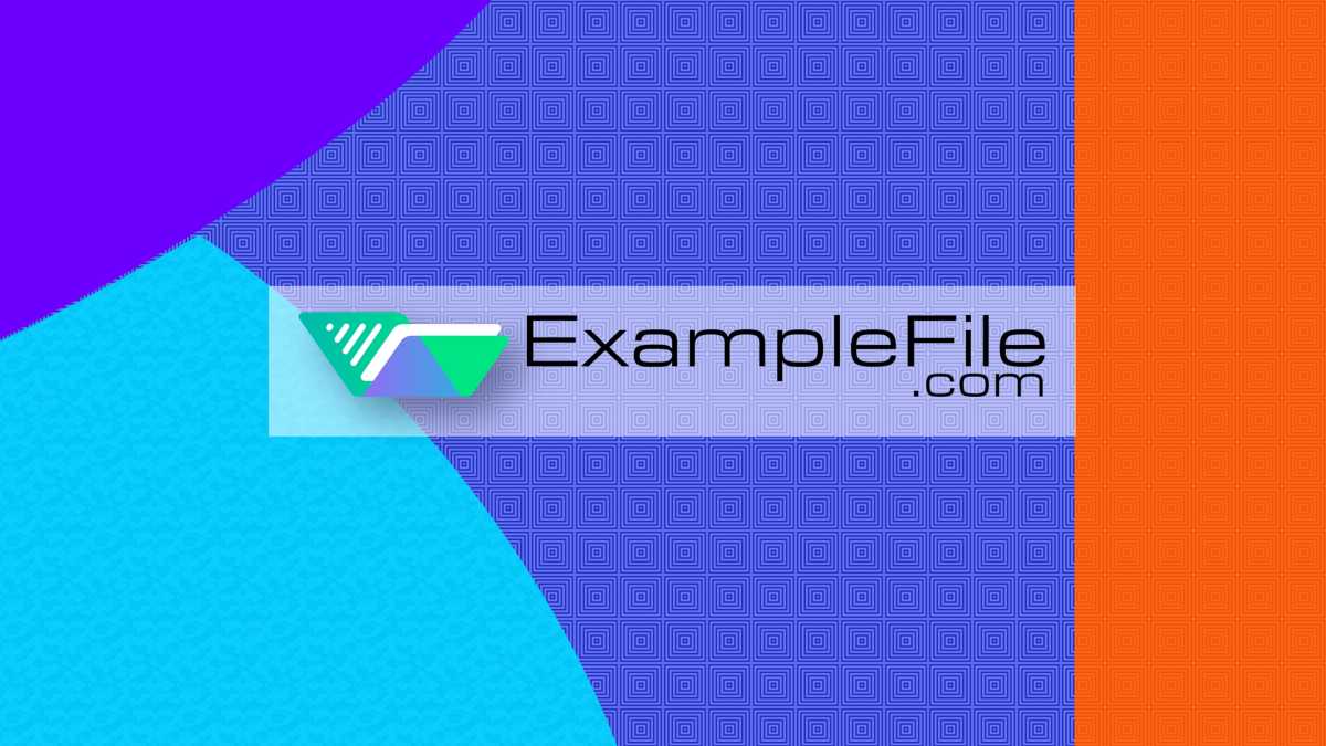 Boombastic Amusement & Trampoline Parkjjtyjy